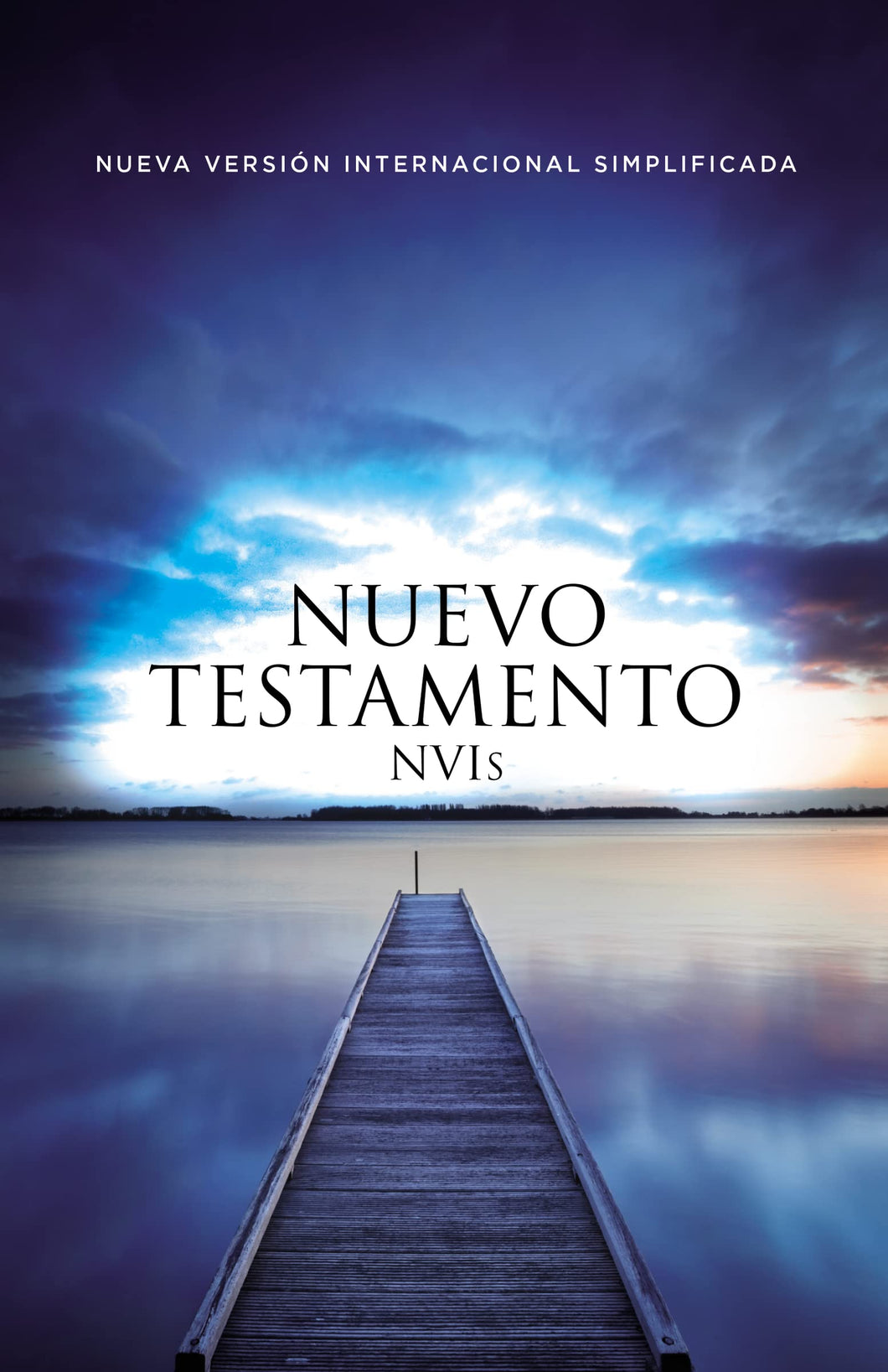 Biblia NVI Nuevo Testamento Rústica