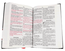 Cargar imagen en el visor de la galería, Biblia RVR 1960 Letra Grande Tapa Dura
