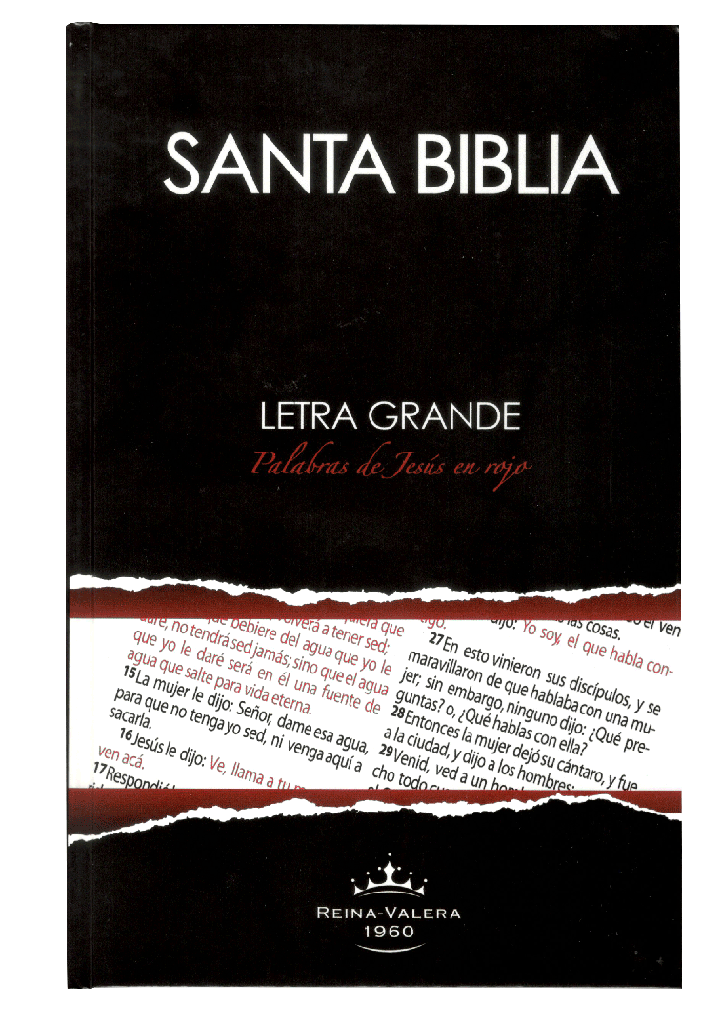 Biblia RVR 1960 Letra Grande Tapa Dura