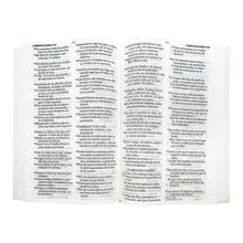 Cargar imagen en el visor de la galería, Biblia RVR 1960 Letra Grande Tamaño Manual Tapa Flex Pastel Tricolor
