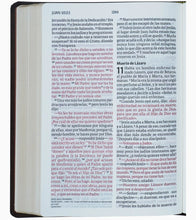 Cargar imagen en el visor de la galería, Biblia NVI Letra Gigante Piel Marrón
