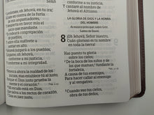 Cargar imagen en el visor de la galería, Biblia RVR 1960 Letra Gigante Piel Fabricada Marrón
