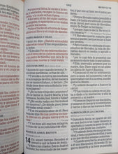 Cargar imagen en el visor de la galería, Biblia RVR 1960 Letra Gigante Piel Fabricada Marrón
