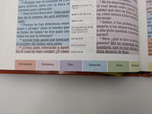 Cargar imagen en el visor de la galería, Biblia RVR 1960 de Estudio Arco Iris Multicolor Tapa Dura
