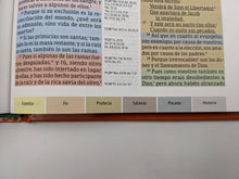 Cargar imagen en el visor de la galería, Biblia RVR 1960 de Estudio Arco Iris Multicolor Tapa Dura
