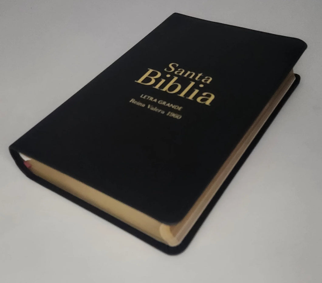 Biblia RVR 1960 Letra Grande Tamaño Manual Negro Vinilo