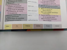 Cargar imagen en el visor de la galería, Biblia RVR 1960 de Estudio Arco Iris Símil Piel Morado Multicolor
