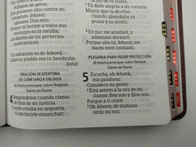 Cargar imagen en el visor de la galería, Biblia RVR 1960 Letra Grande Tamaño Manual Marrón Piel Fabricada con Índice
