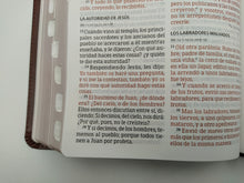 Cargar imagen en el visor de la galería, Biblia RVR 1960 Letra Grande Tamaño Manual Marrón Piel Fabricada con Índice
