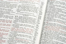 Cargar imagen en el visor de la galería, Biblia RVR 1960 de Estudio Scofield Multicolor Tapa Dura
