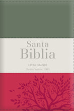 Cargar imagen en el visor de la galería, Biblia RVR 1960 Letra Grande Tamaño Manual Tricolor Gris Crema Rojo con Cierre con Índice
