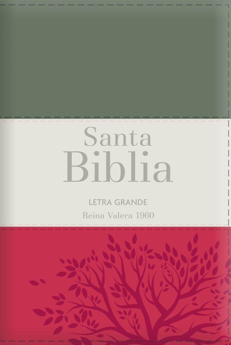 Biblia RVR 1960 Letra Grande Tamaño Manual Tricolor Gris Crema Rojo con Cierre con Índice