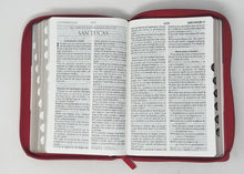 Cargar imagen en el visor de la galería, Biblia RVR 1960 Letra Grande Tamaño Manual Tricolor Gris Crema Rojo con Cierre con Índice
