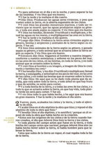 Cargar imagen en el visor de la galería, Biblia RVR 1960 Mi Legado Piel Café una Columna Interior a dos Colores
