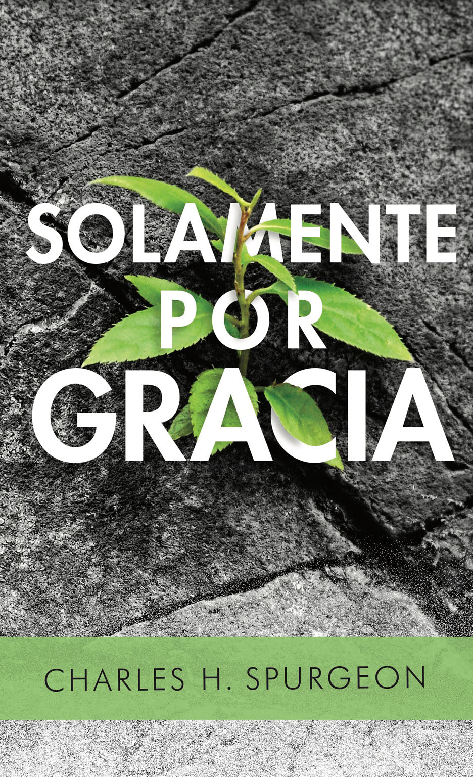 Solamente Por Gracia